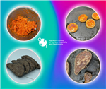 Photography from: investigación gastronómica contra el desperdicio alimentario | CETT